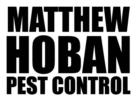 Matthew Hoban Pest Control Picture 2