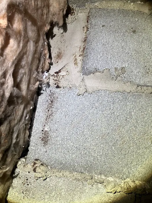 Pest Asset Picture 3