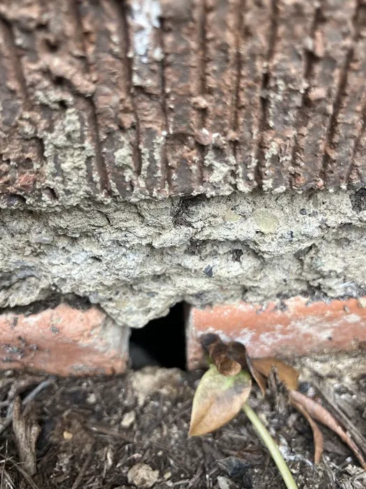 Pest Asset Picture 5