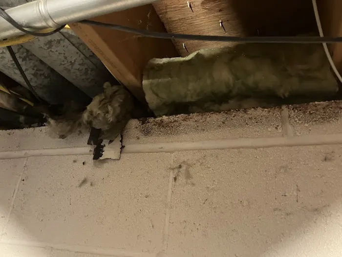 Pest Asset Picture 2