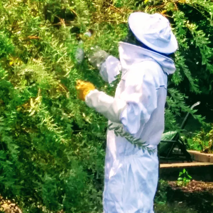 Black Dog Pest Solutions Picture 7