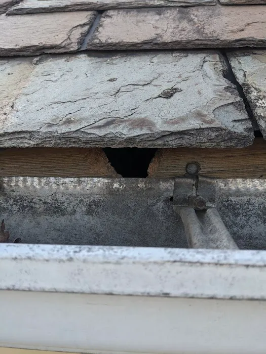 Robinhood Pest Solutions Picture 3