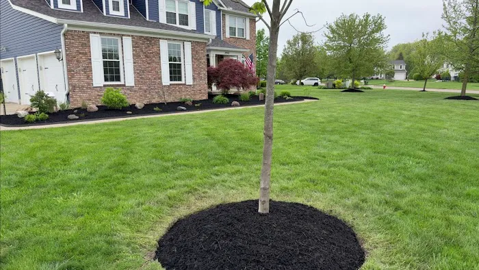 Precision Grounds Management LLC Picture 1