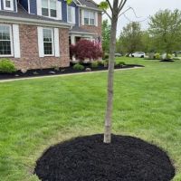 Precision Grounds Management LLC ico