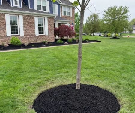 Precision Grounds Management LLC