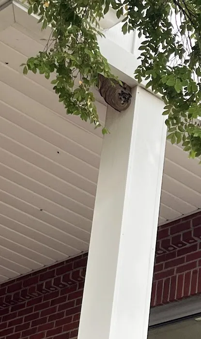 DHS Pest Control Picture 2