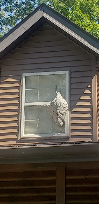 DHS Pest Control Picture 5