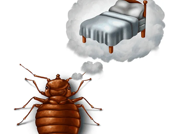 DHS Pest Control Picture 1