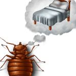 DHS Pest Control