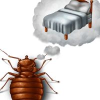 DHS Pest Control ico