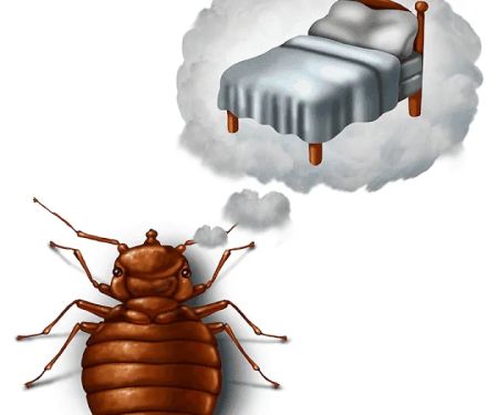 DHS Pest Control