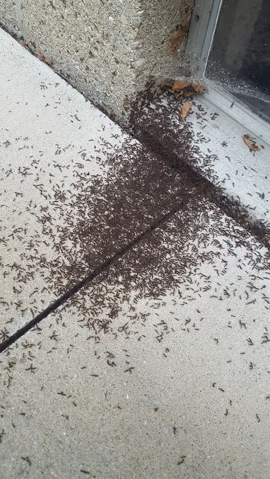 Lu-Crest Pest Control LLC Picture 2
