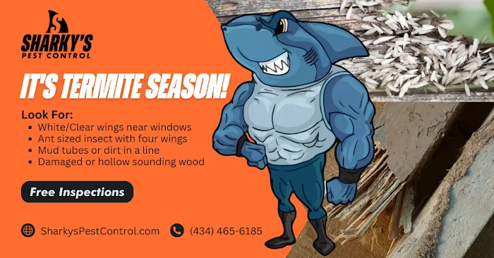 Sharky's Pest & Termite Control Picture 1