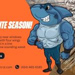 Sharky's Pest & Termite Control