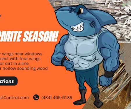 Sharky's Pest & Termite Control