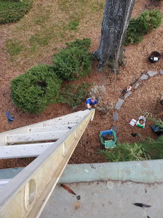 Rozier Termite & Pest Control, Inc. Picture 4