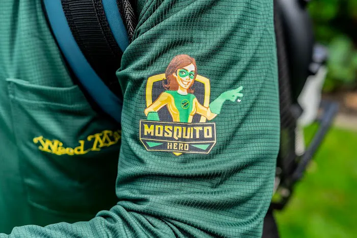 Mosquito Hero Picture 4
