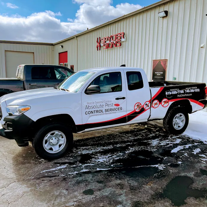 Absolute Pest Control Services Picture 4