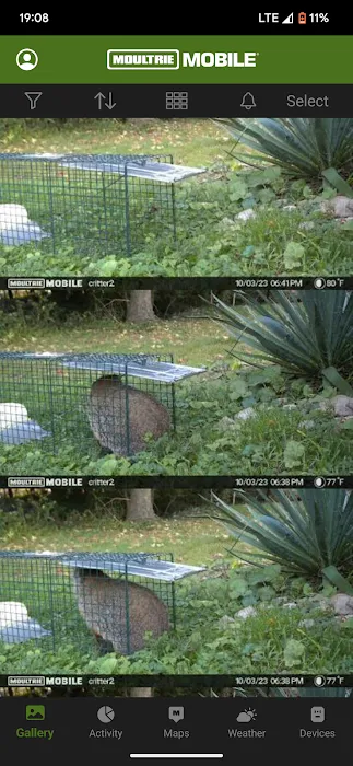Bearded Critter Getter LLC Picture 2