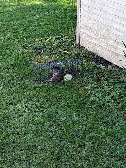 Bearded Critter Getter LLC Picture 1