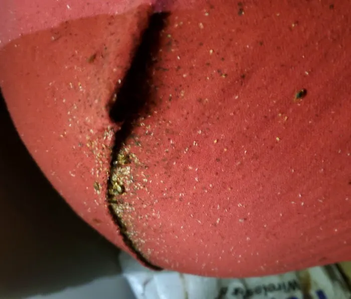 John Henry's Pest Control Picture 1