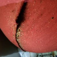 John Henry's Pest Control ico