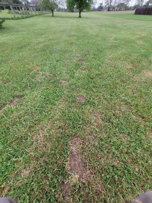Mandau's Pest Solutions Picture 2