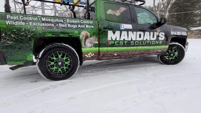 Mandau's Pest Solutions Picture 9
