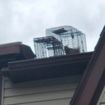 Mandau's Pest Solutions