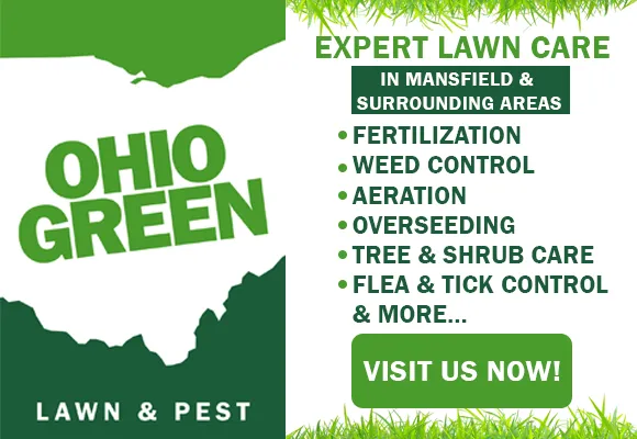 Ohio Green Lawn & Pest Picture 5