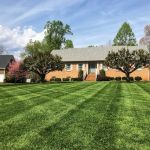 WheelerGreen Lawn Care