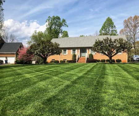 WheelerGreen Lawn Care