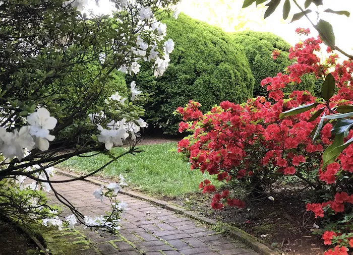 WheelerGreen Lawn Care Picture 8