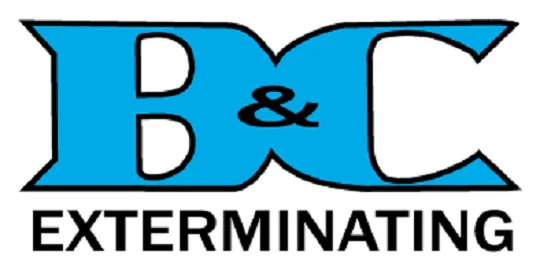 B&C Exterminating Picture 5