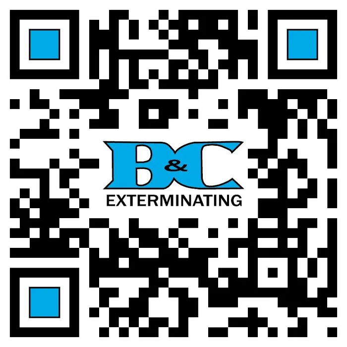 B&C Exterminating Picture 6