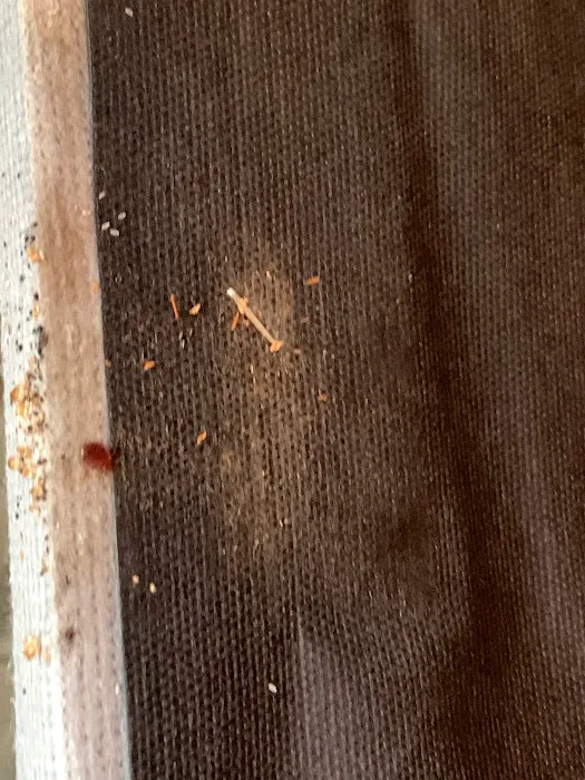 Cheryl's Pest Defense Picture 8