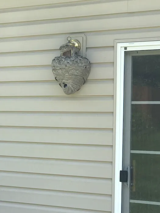 Cheryl's Pest Defense Picture 7