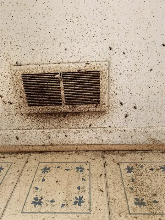 Cheryl's Pest Defense Picture 9