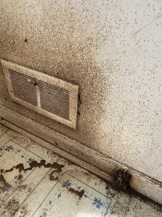 Cheryl's Pest Defense Picture 10