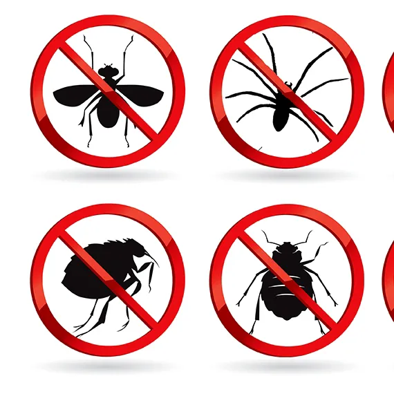Killinger Pest Solutions Picture 1