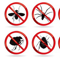 Killinger Pest Solutions ico