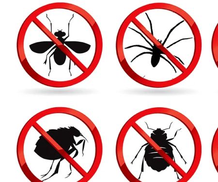 Killinger Pest Solutions