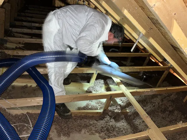 Martin Exterminating Company Picture 8