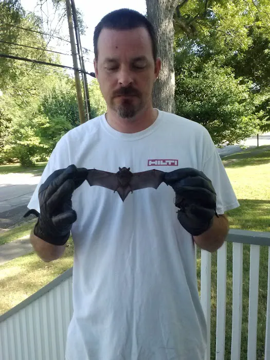 Martin Exterminating Company Picture 1
