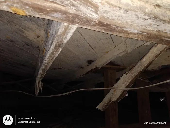 A&S Pest Control Picture 4