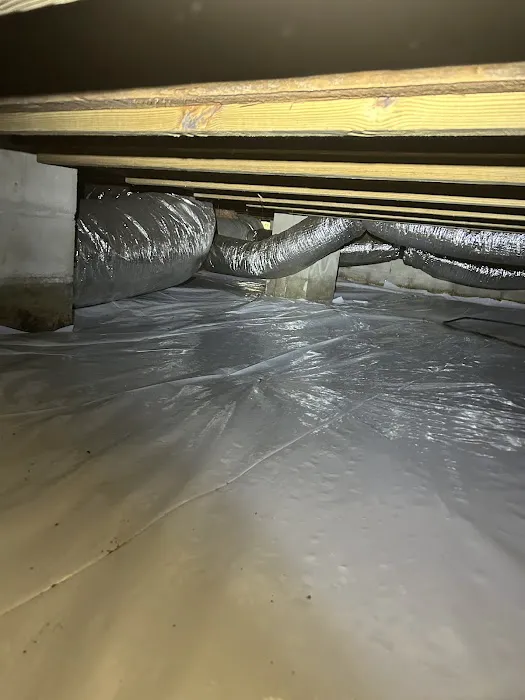 Virginia Carolina Pest Management Picture 7