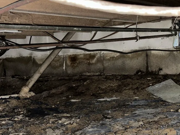 Virginia Carolina Pest Management Picture 5