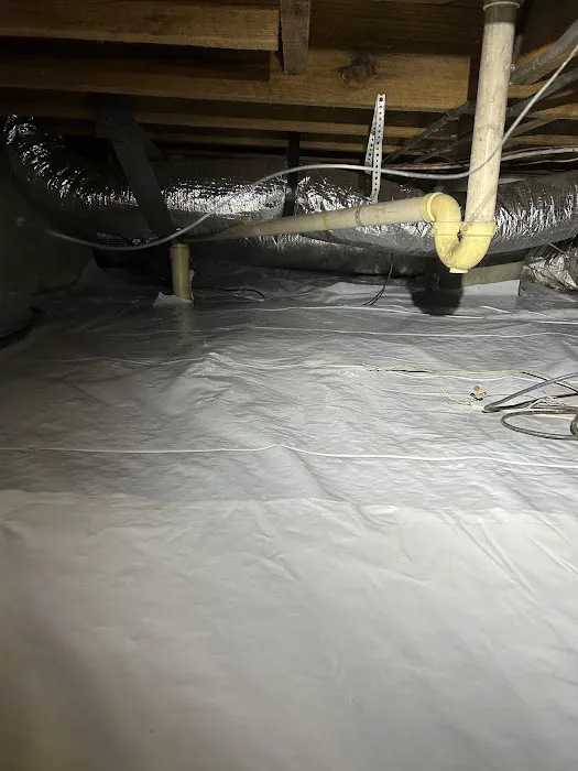 Virginia Carolina Pest Management Picture 2