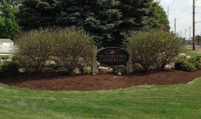 YourScape Fertilization and Lawn Care Picture 1