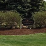 YourScape Fertilization and Lawn Care
